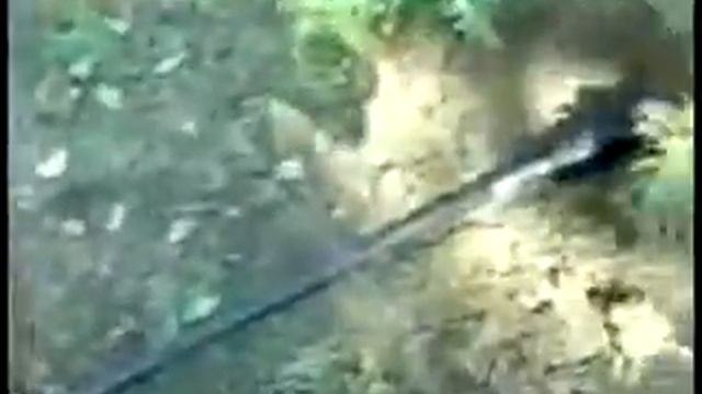 Hercu Pneumatic HP55, HP70, HP95, HP130L moles смотреть онлайн