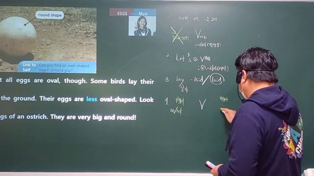 Lesson 16 완강 Why are the eggs oval shaped смотреть онлайн