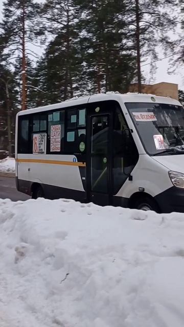 Миниролик #37 Газель next 16 маршрут #рекомендации смотреть онлайн