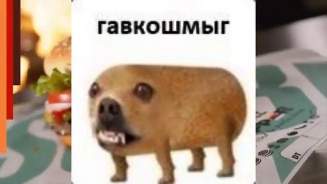 r34 whopper смотреть онлайн