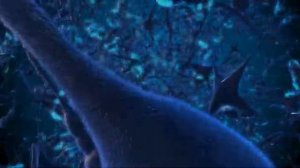 ЧЕРЕПНО МОЗГОВЫЕ НЕРВЫ (ИСЦЕЛЕНИЕ ГОЛОВЫ)*САБЛИМИНАЛ +ЧАСТОТЫ