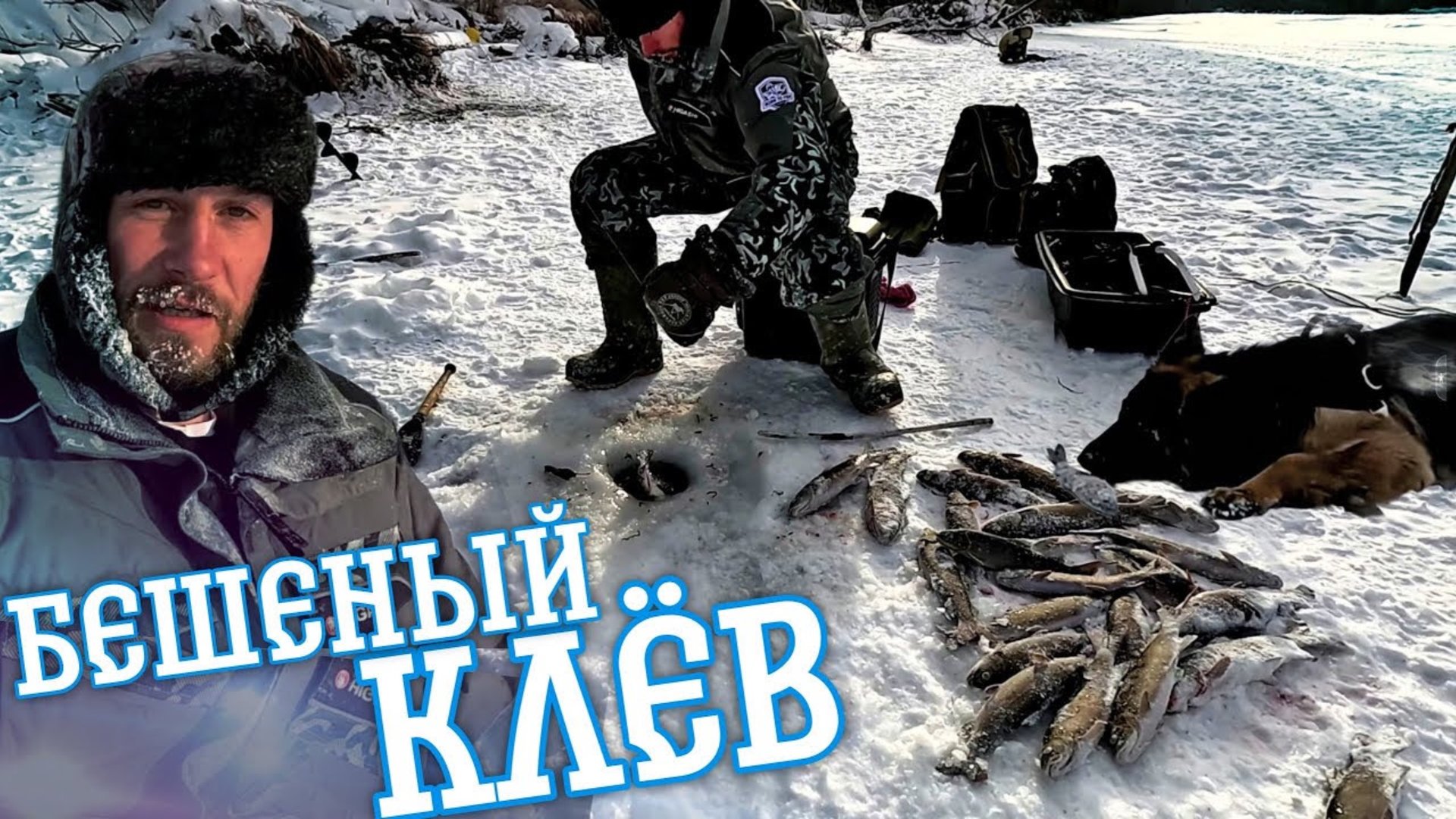 Ловля Ленка и Хариуса зимой-бешеный жор рыбы. смотреть онлайн