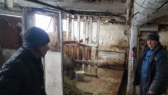 Потеряла торговую точку Зато побелила коровник смотреть онлайн