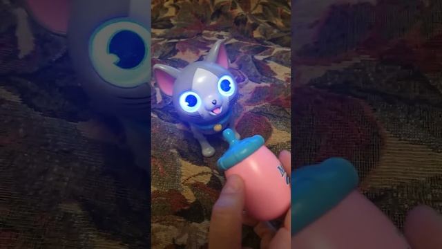 Вот какой у нас прикольный питомец)🐈 смотреть онлайн