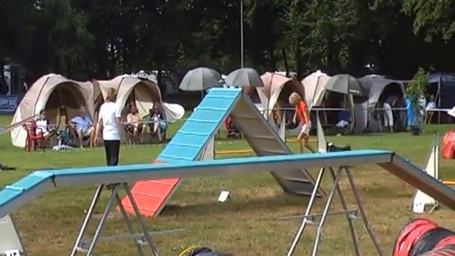 Sunday Agility Dominique du Fosse' Enya смотреть онлайн