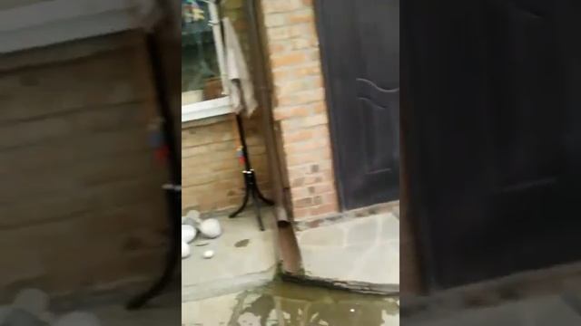 Показываю свой двор смотреть онлайн