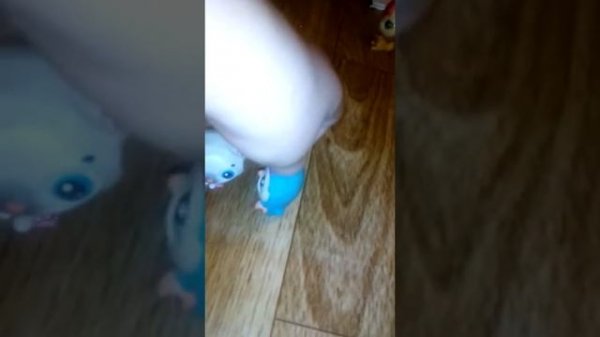 Lps лагерь пчёлка 1сезон