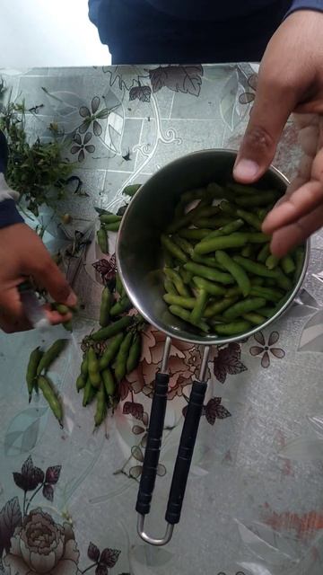 क्या आप जानते हैं ये क्या है? #shorts #vegitables #cuttingskills #ytshortsindia смотреть онлайн