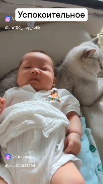 vkclips_20250212014436 смотреть онлайн