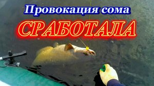 Эхолот помог спровоцировать СОМА!!!