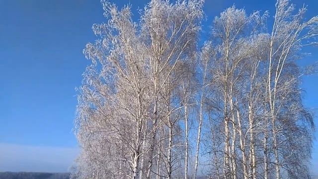 ЗИМА - край, в котором я живу. смотреть онлайн