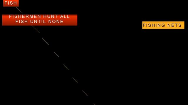 Spear Tooth Shark смотреть онлайн