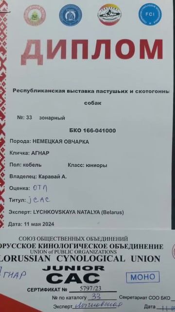 Питомник немецких овчарок TRYGGVI ULF смотреть онлайн