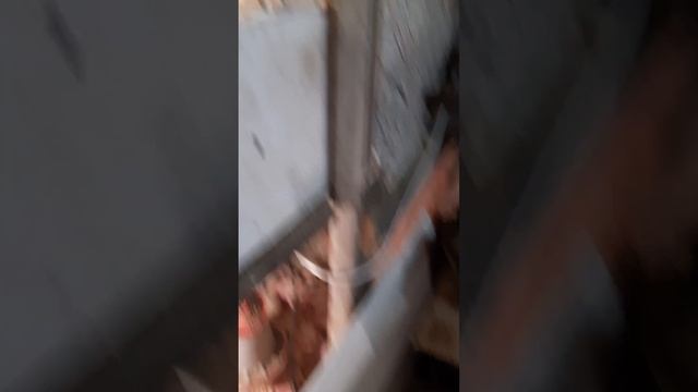 Содержание бройлера,переход корма со старта на рост. смотреть онлайн