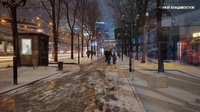 Владивосток выпал снег (31 января 2024). смотреть онлайн