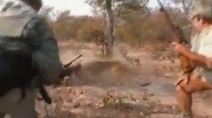 Охота на льва