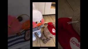 Подборка Басиков из тт часть 1