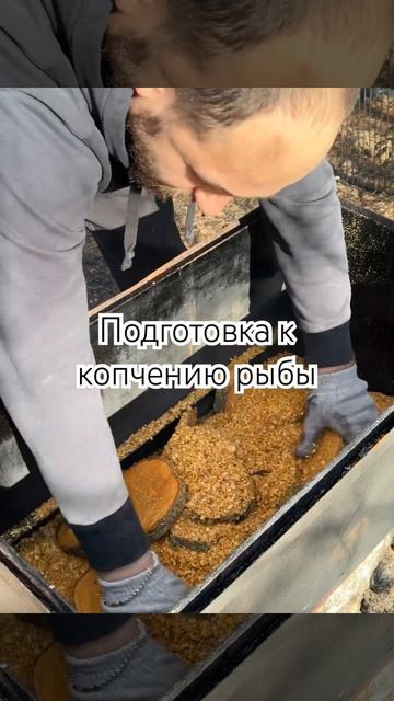 Подготовка к копчению рыбы #санктпетербург #рыба #копченаярыба #горячеекопчение #рецепты #природа смотреть онлайн