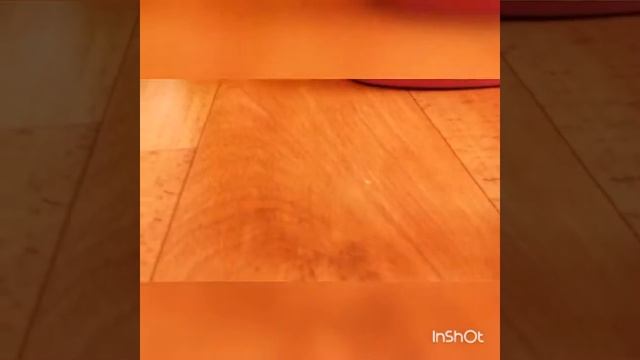 Клип рисничка смотреть онлайн