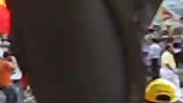 April 19, 2008 Olympic Torch Relay, Bangkok смотреть онлайн