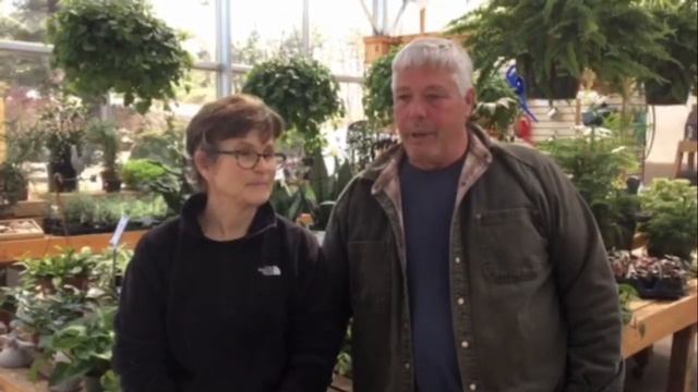 Welcome to Spring 2019 at Rolling Green Nursery in Greenland, NH смотреть онлайн