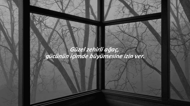 Grouper - Poison Tree (Türkçe Çeviri)