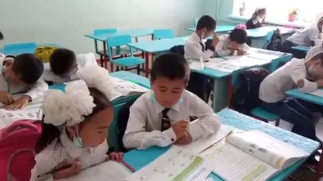 Таныстыру. Жас маман. смотреть онлайн