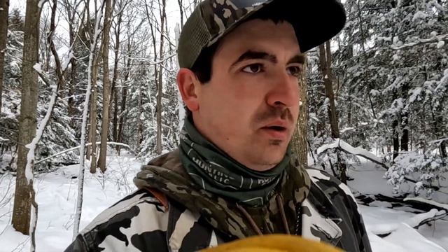 EPIC 4 COYOTE DAY | WNY COYOTE HUNTING WITH HOUNDS (you wont believe what happens to me) смотреть онлайн