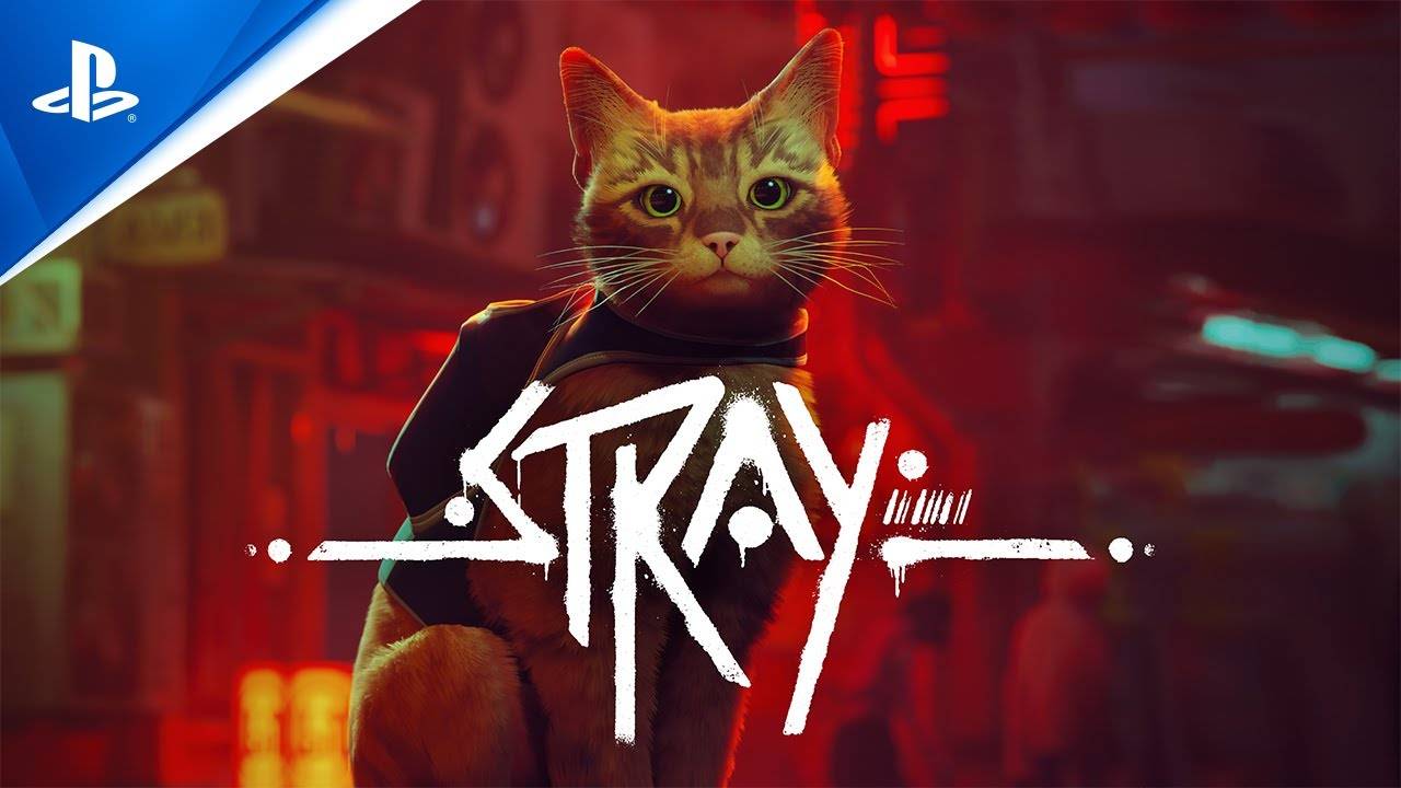 Stray - Launch Trailer | смотреть онлайн