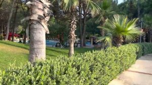 IC HOTELS SANTAI FAMILY RESORT/Обзор отеля IC Hotels Santai Family Resort!