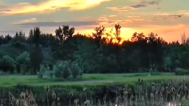 Живи! Пока тебе живётся! смотреть онлайн