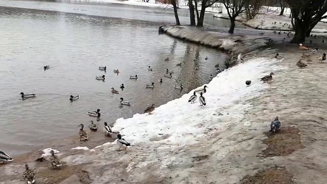#Красота! смотреть онлайн