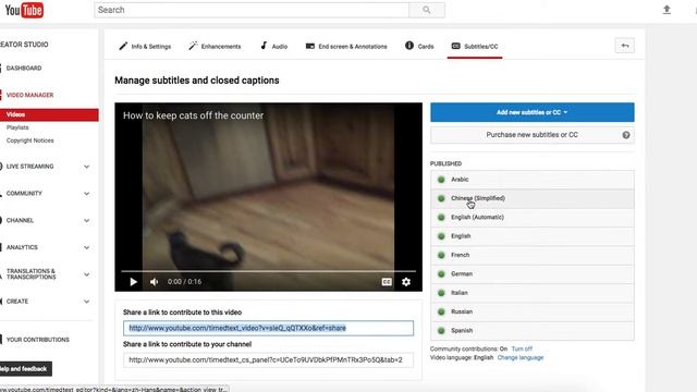 Video Translation Services for YouTube videos смотреть онлайн
