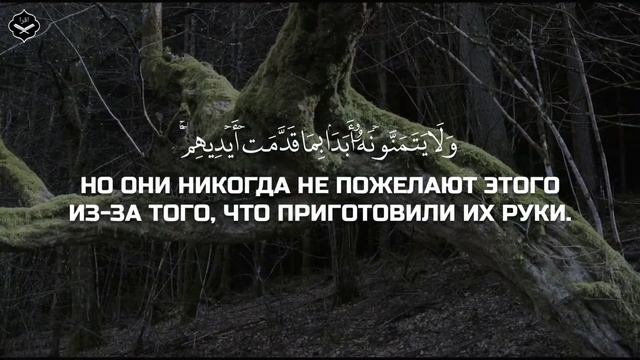 Сура Аль-Джуму’а (собрание)
Чтец: Абдуллах Хумейд смотреть онлайн