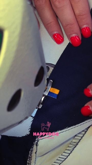 Behind the Scenes: Crafting a Custom Dog Tuxedo from Start to Finish смотреть онлайн