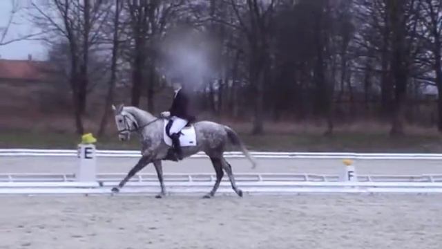 Hespera po Cisoń xx Strzegom 03-2015 смотреть онлайн