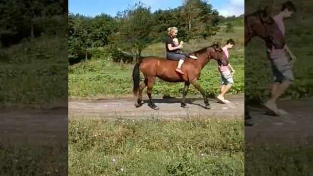 Конные прогулки смотреть онлайн