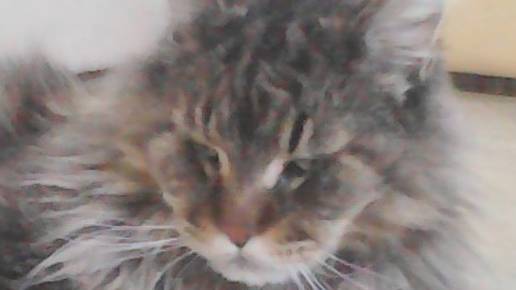 ТЫ ПРОСТО ПРО!!!!!