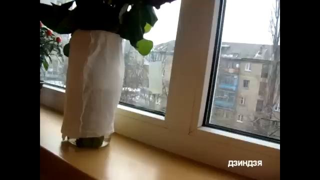 Як Ірма Крат Шаріку допомагала смотреть онлайн