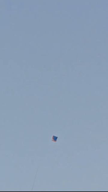 kite lover 😍#virel#shorts #youtubeshort смотреть онлайн
