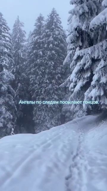 «Сон из прошлого» — первое стихотворение из сборника «Утерянные страницы». #стихи #рекомендации смотреть онлайн
