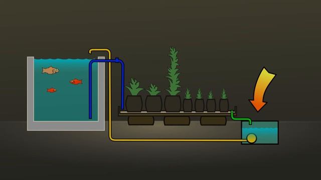 The Plan: Hybrid Grow Bags & Aquaponics смотреть онлайн
