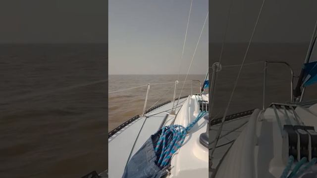 Navegada el el Colibri 24 Sherezad, 19 de agosto de 2022 смотреть онлайн