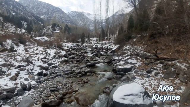 Шохимардон