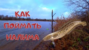 Наживка на налима. Всё что НУЖНО ЗНАТЬ в коротком видеоролике