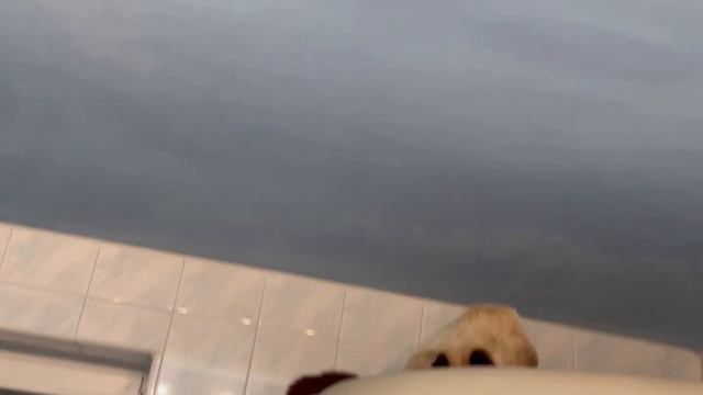 Да, мне - это раз плюнуть!😂 смотреть онлайн