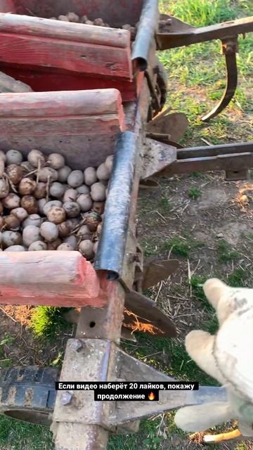 Ловите лайфхак, как легко и быстро посадить картофель😁#artvine777shorts#сельхозтехника#картошка смотреть онлайн