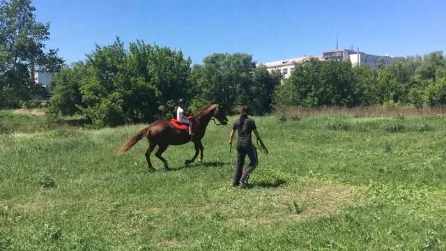 Первый галоп! смотреть онлайн