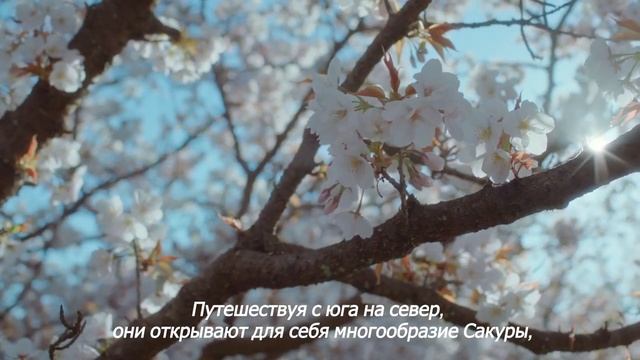 Весна в Японии смотреть онлайн