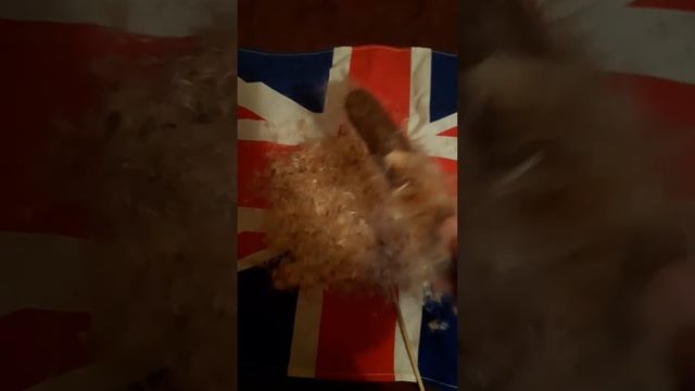 2 часть антистресс камыш. это очень классный Антистресс!!! посмотрите это видео до конца!))) смотреть онлайн